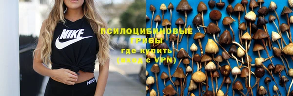 PSILOCYBIN Володарск